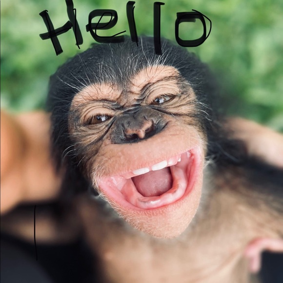 Meet your Posher, Lori - Picture 1 of 1